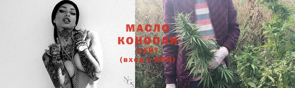 2c-b Бородино
