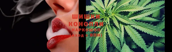 трава Вязьма