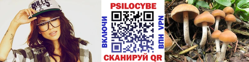 дарк нет телеграм Елизово Галлюциногенные грибы Cubensis мега tor